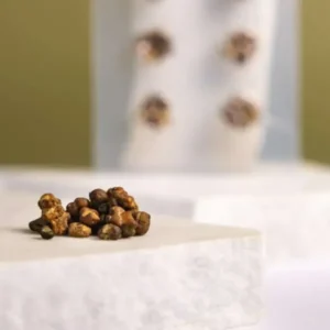 Microdosing pack – Magic truffles