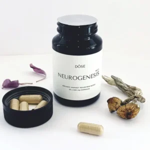 Buy Be Brilliant Booster Mushroom