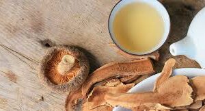 Mushroom Teas