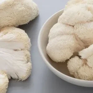 lion’s Mane Mushroom