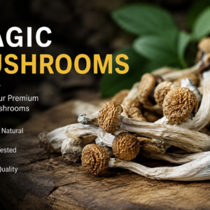 Buy Magic Mushrooms