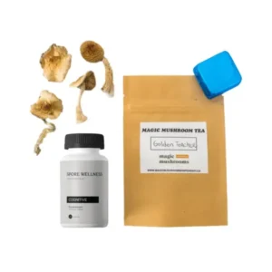 First-Timer Magic Mushroom Kit Psych