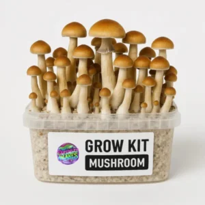Magic Mushroom Grow Kit ‘Colombian’