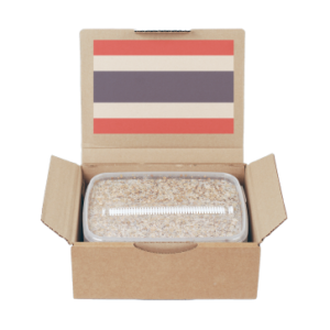 Mondo Magic Mushroom Grow Kits